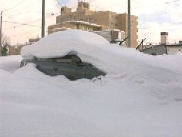 雪に埋もれた車その1